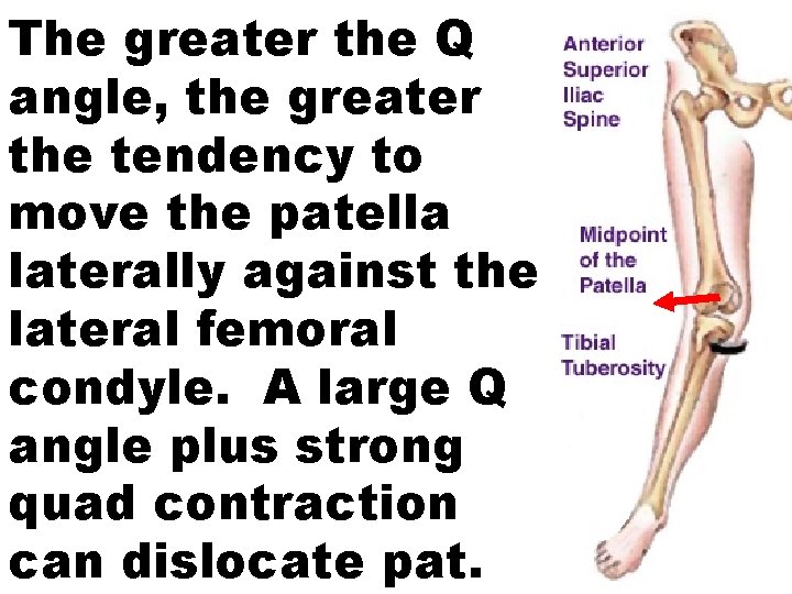 The greater the Q angle, the greater the tendency to move the patella laterally