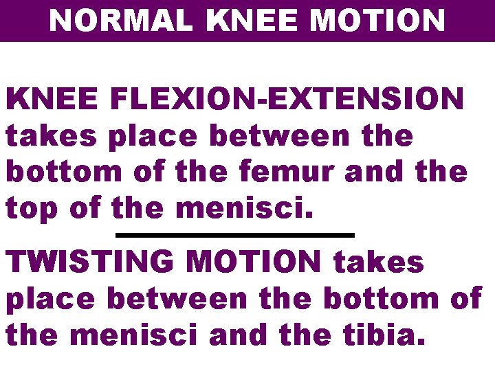 NORMAL KNEE MOTION KNEE FLEXION-EXTENSION takes place between the bottom of the femur and