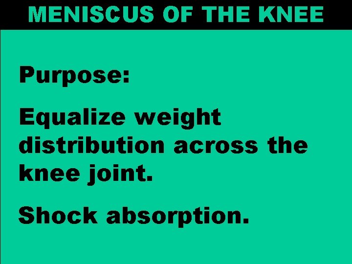 MENISCUS OF THE KNEE Purpose: Equalize weight distribution across the knee joint. Shock absorption.