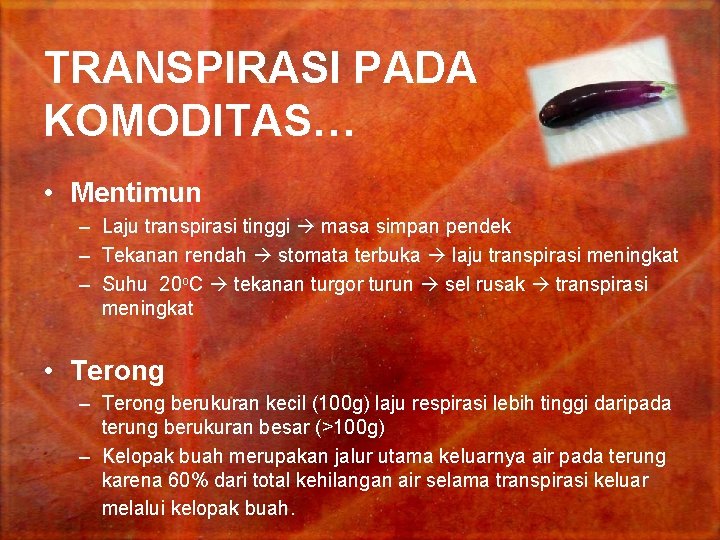 TRANSPIRASI PADA KOMODITAS… • Mentimun – Laju transpirasi tinggi masa simpan pendek – Tekanan