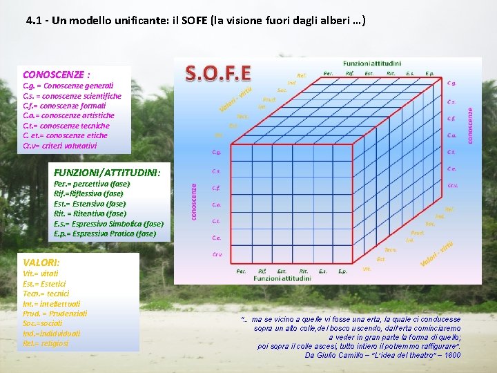 4. 1 - Un modello unificante: il SOFE (la visione fuori dagli alberi …)
