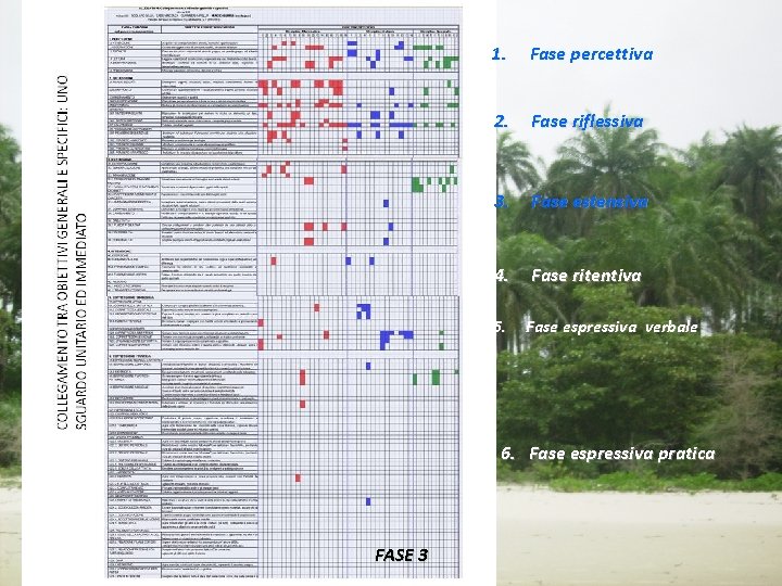 1. Fase percettiva 2. Fase riflessiva 3. Fase estensiva 4. Fase ritentiva 5. Fase