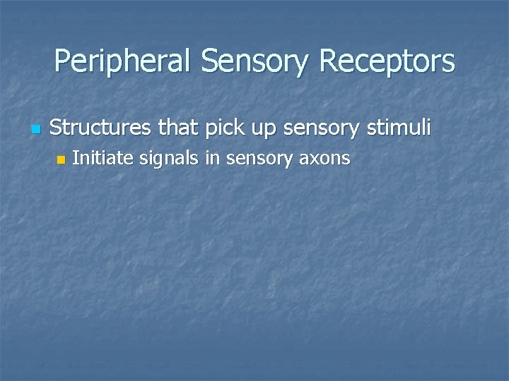 Peripheral Sensory Receptors n Structures that pick up sensory stimuli n Initiate signals in
