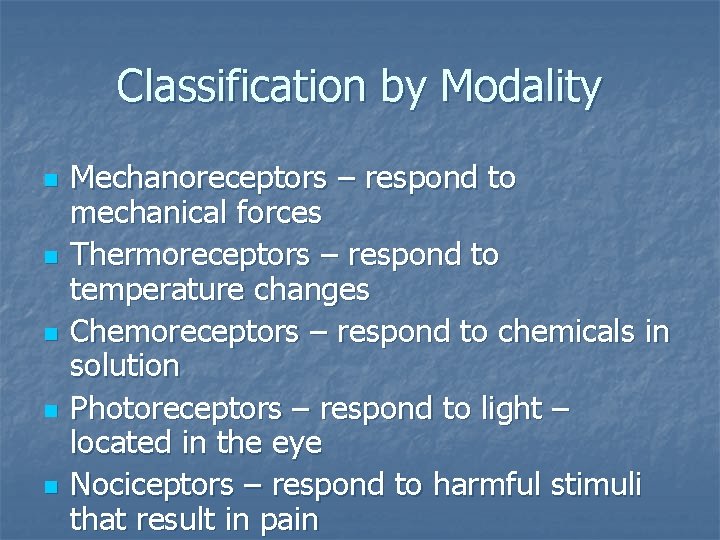 Classification by Modality n n n Mechanoreceptors – respond to mechanical forces Thermoreceptors –