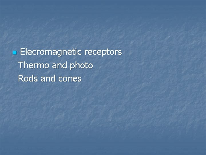 n Elecromagnetic receptors Thermo and photo Rods and cones 