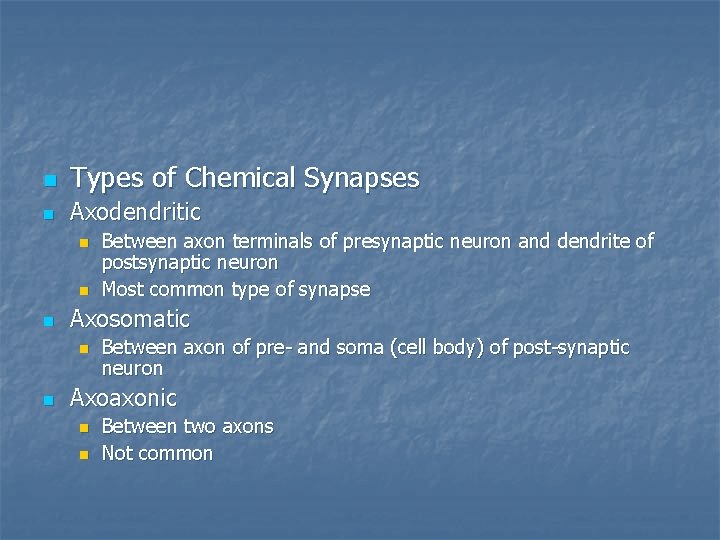 n Types of Chemical Synapses n Axodendritic n n n Axosomatic n n Between