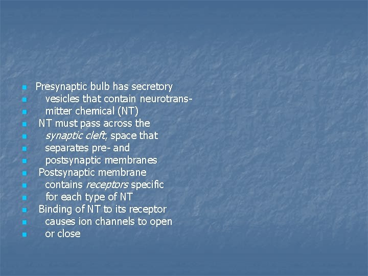 n n n n Presynaptic bulb has secretory vesicles that contain neurotransmitter chemical (NT)