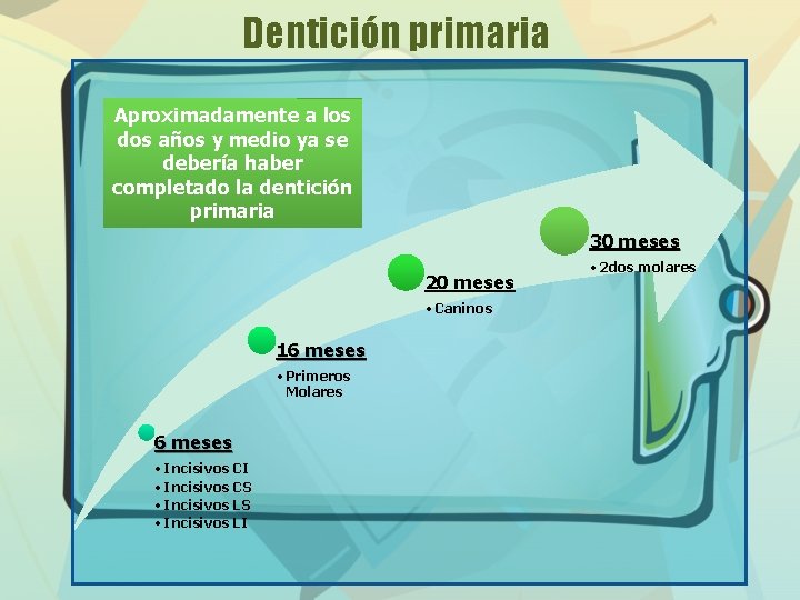 Dentición primaria Aproximadamente a los dos años y medio ya se debería haber completado