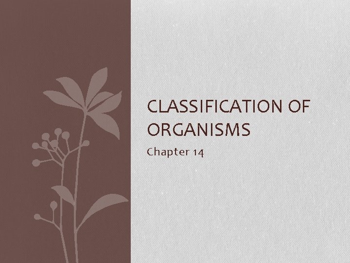 CLASSIFICATION OF ORGANISMS Chapter 14 