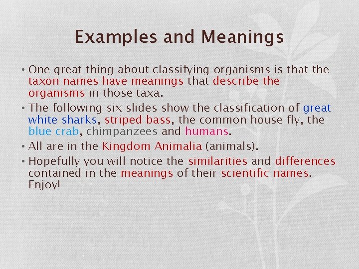 Examples and Meanings • One great thing about classifying organisms is that the taxon