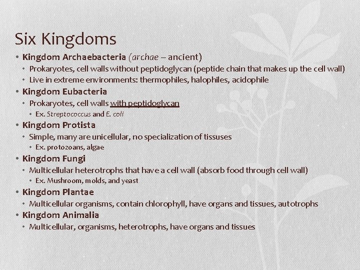 Six Kingdoms • Kingdom Archaebacteria (archae – ancient) • Prokaryotes, cell walls without peptidoglycan