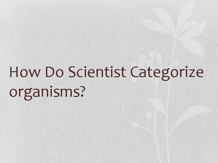 How Do Scientist Categorize organisms? 