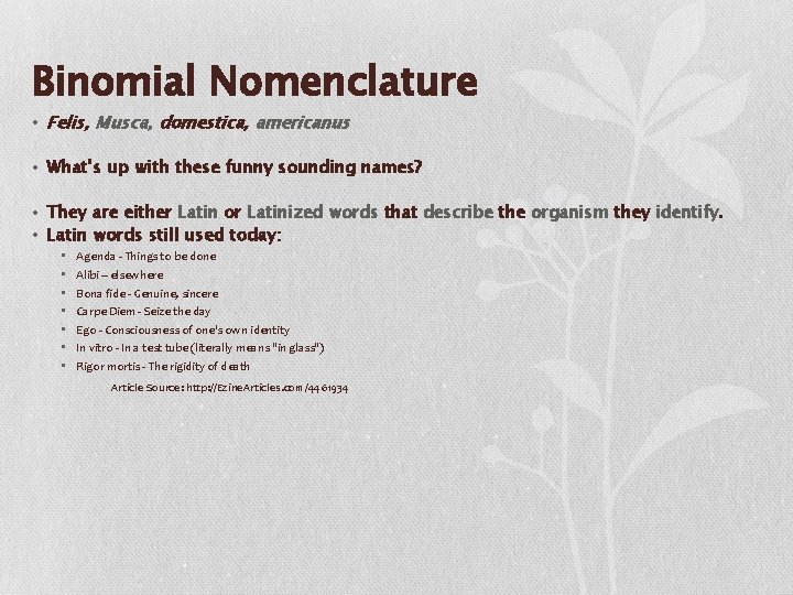 Binomial Nomenclature • Felis, Musca, domestica, americanus • What’s up with these funny sounding