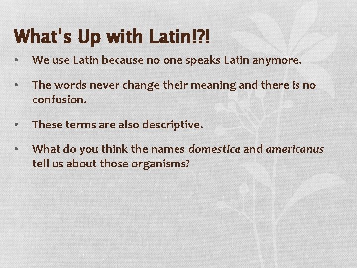 What’s Up with Latin!? ! • We use Latin because no one speaks Latin