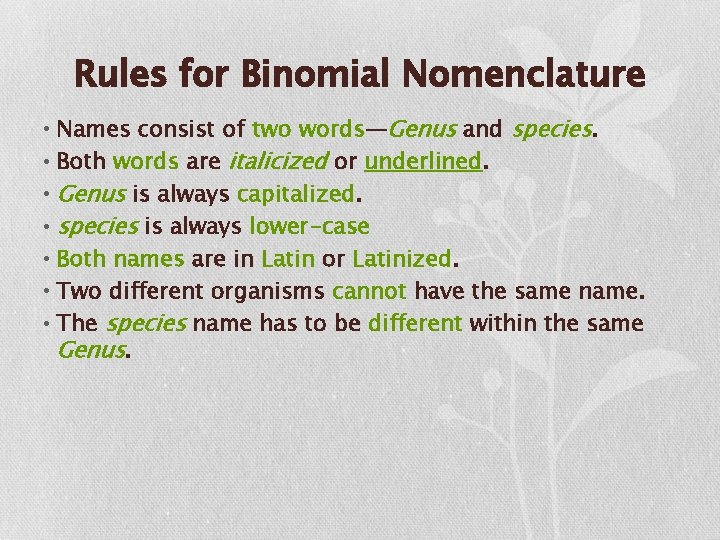 Rules for Binomial Nomenclature • Names consist of two words—Genus and species. • Both