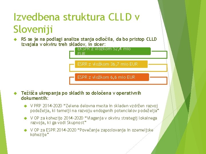 Izvedbena struktura CLLD v Sloveniji RS se je na podlagi analize stanja odločila, da