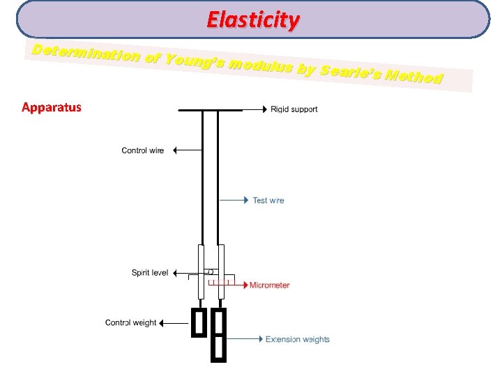 Elasticity Determination of Young’s mo dulus by Sear le’s Method Apparatus 