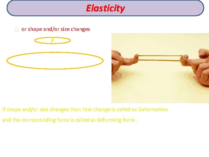 Elasticity 2) or shape and/or size changes F If shape and/or size changes then