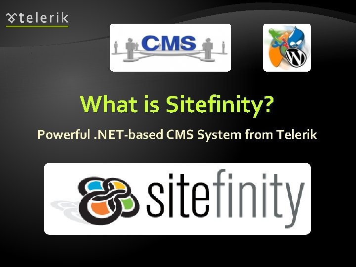 What is Sitefinity? Powerful. NET-based CMS System from Telerik 