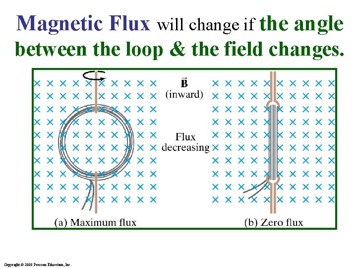 Magnetic Flux will change if the angle between the loop & the field changes.