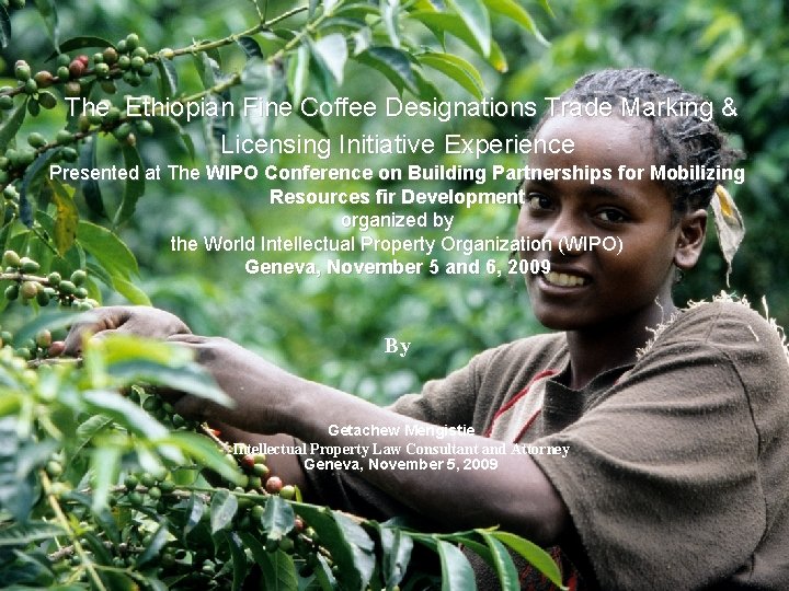 The Ethiopian Fine Coffee Designations Trade Marking & Licensing Initiative Experience Presented at The