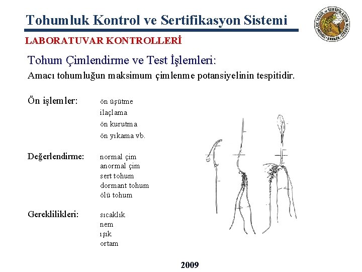 Tohumluk Kontrol ve Sertifikasyon Sistemi LABORATUVAR KONTROLLERİ Tohum Çimlendirme ve Test İşlemleri: Amacı tohumluğun