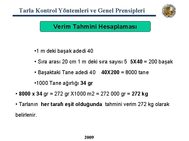 Tarla Kontrol Yöntemleri ve Genel Prensipleri Verim Tahmini Hesaplaması • 1 m deki başak