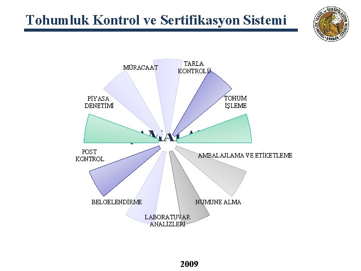 Tohumluk Kontrol ve Sertifikasyon Sistemi MÜRACAAT TARLA KONTROLÜ TOHUM İŞLEME PİYASA DENETİMİ AŞAMALARI POST