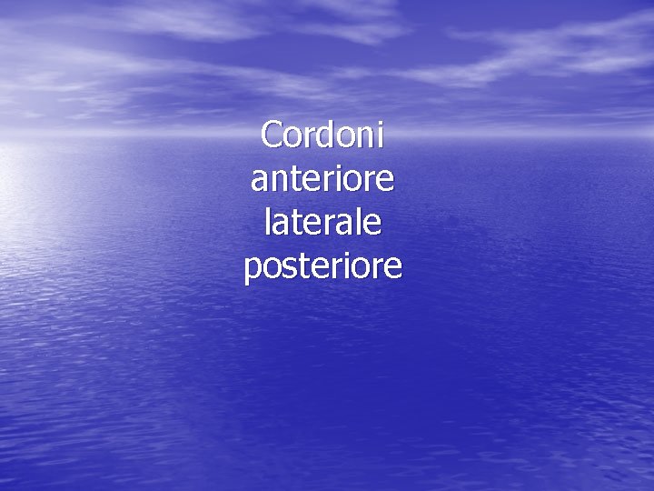 Cordoni anteriore laterale posteriore 