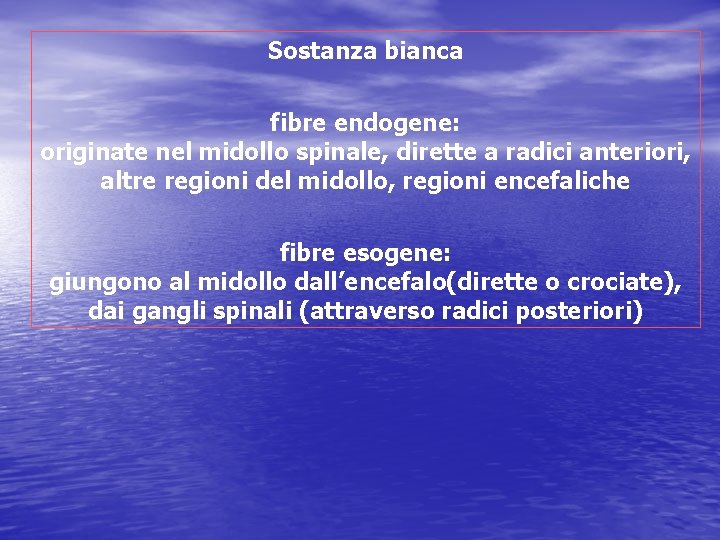 Sostanza bianca fibre endogene: originate nel midollo spinale, dirette a radici anteriori, altre regioni