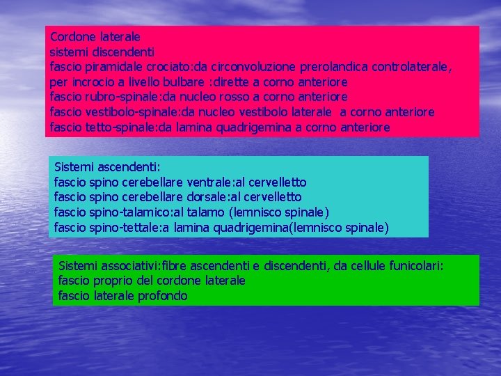 Cordone laterale sistemi discendenti fascio piramidale crociato: da circonvoluzione prerolandica controlaterale, per incrocio a