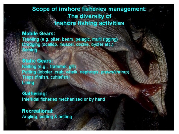 Scope of inshore fisheries management: The diversity of inshore fishing activities Mobile Gears: Trawling