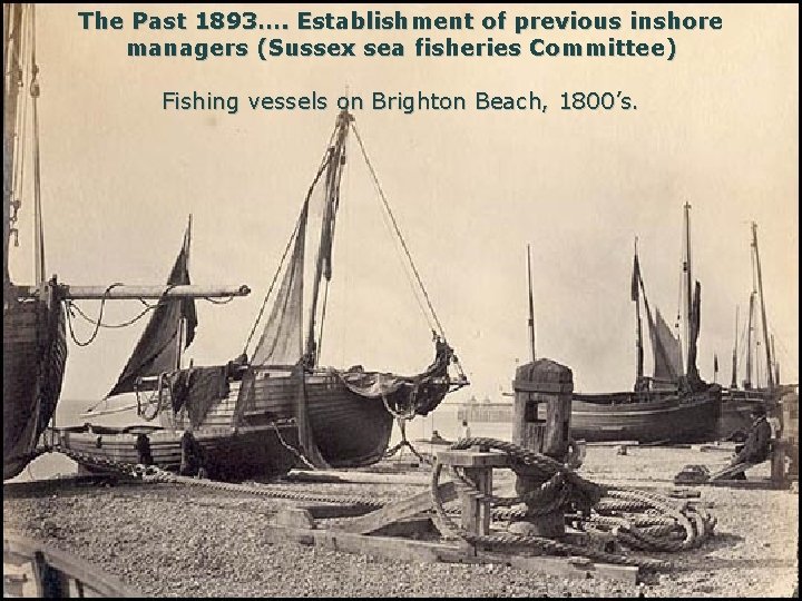 The Past 1893…. Establishment of previous inshore managers (Sussex sea fisheries Committee) Fishing vessels