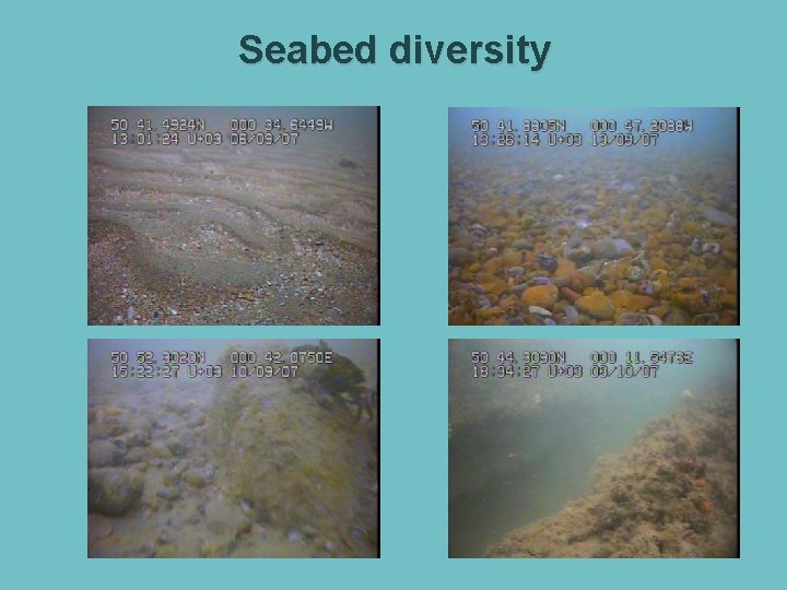 Seabed diversity Seabed diversity