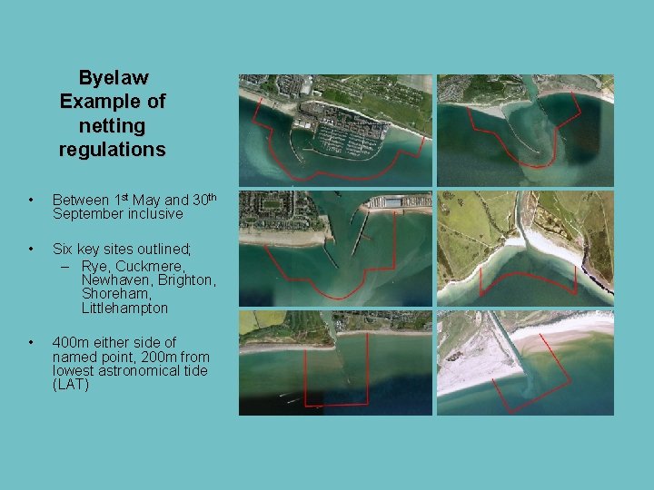Byelaw Example of netting regulations • Between 1 st May and 30 th September Byelaw Example of netting regulations • Between 1 st May and 30 th September