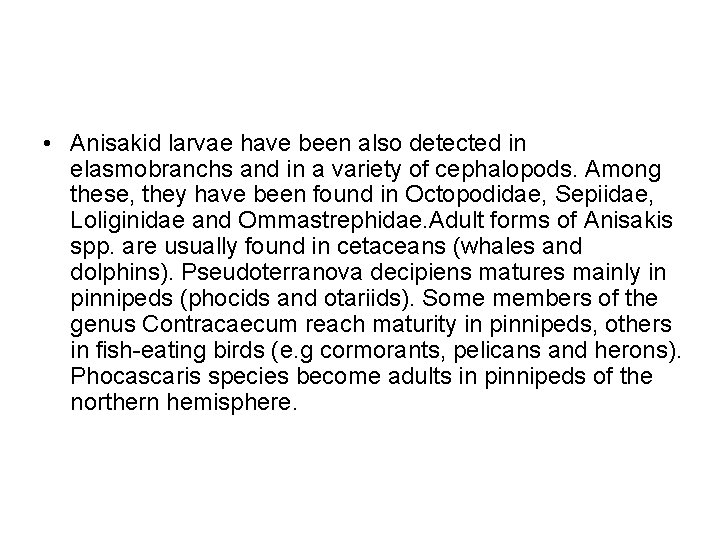  • Anisakid larvae have been also detected in elasmobranchs and in a variety