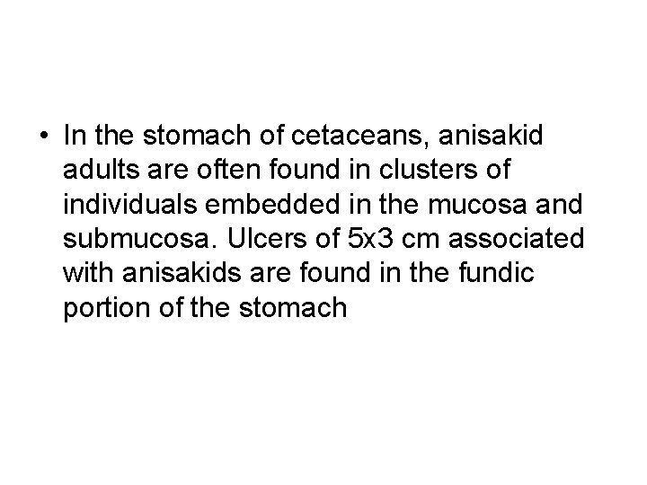  • In the stomach of cetaceans, anisakid adults are often found in clusters