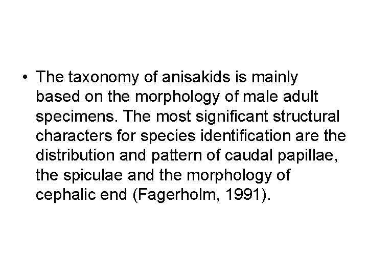  • The taxonomy of anisakids is mainly based on the morphology of male