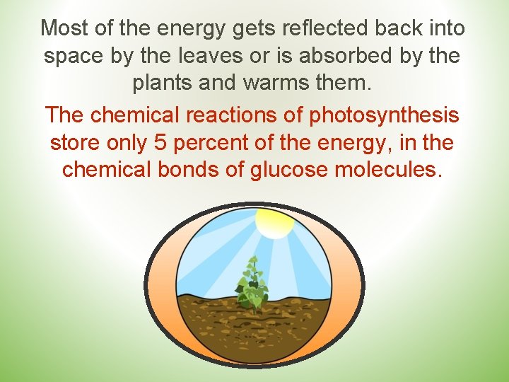 Most of the energy gets reflected back into space by the leaves or is