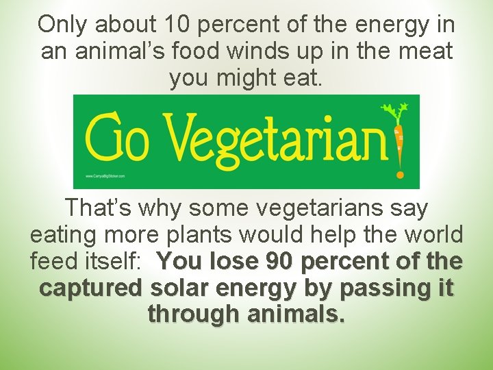 Only about 10 percent of the energy in an animal’s food winds up in