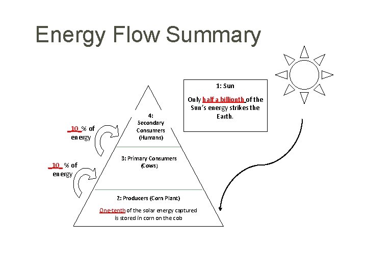 Energy Flow Summary 1: Sun _10_% of energy _10_ % of energy 4: Secondary