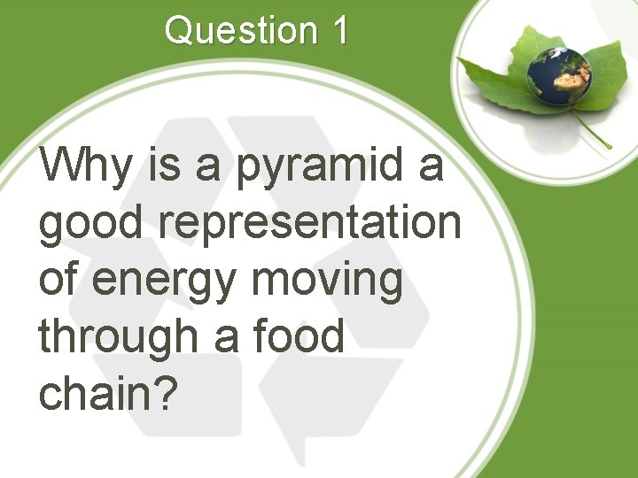 Question 1 Why is a pyramid a good representation of energy moving through a