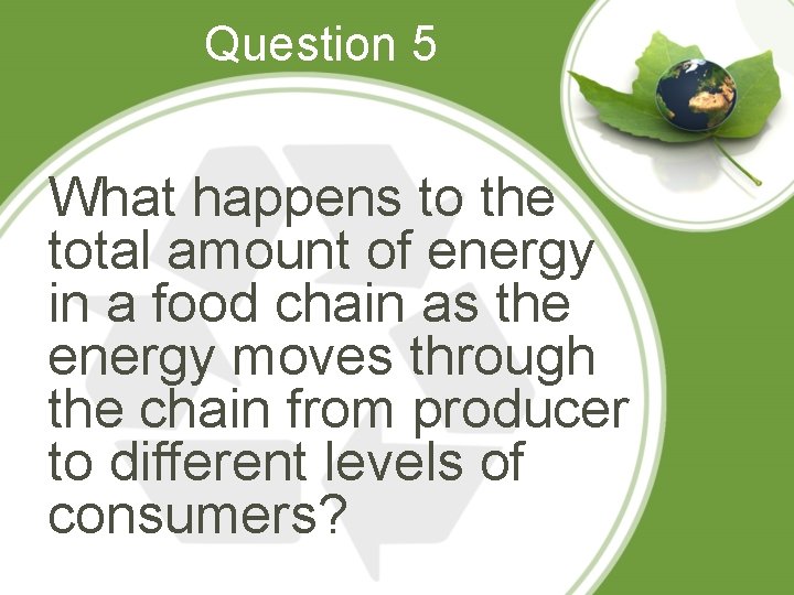 Question 5 What happens to the total amount of energy in a food chain