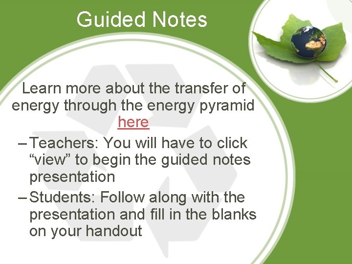 Guided Notes Learn more about the transfer of energy through the energy pyramid here