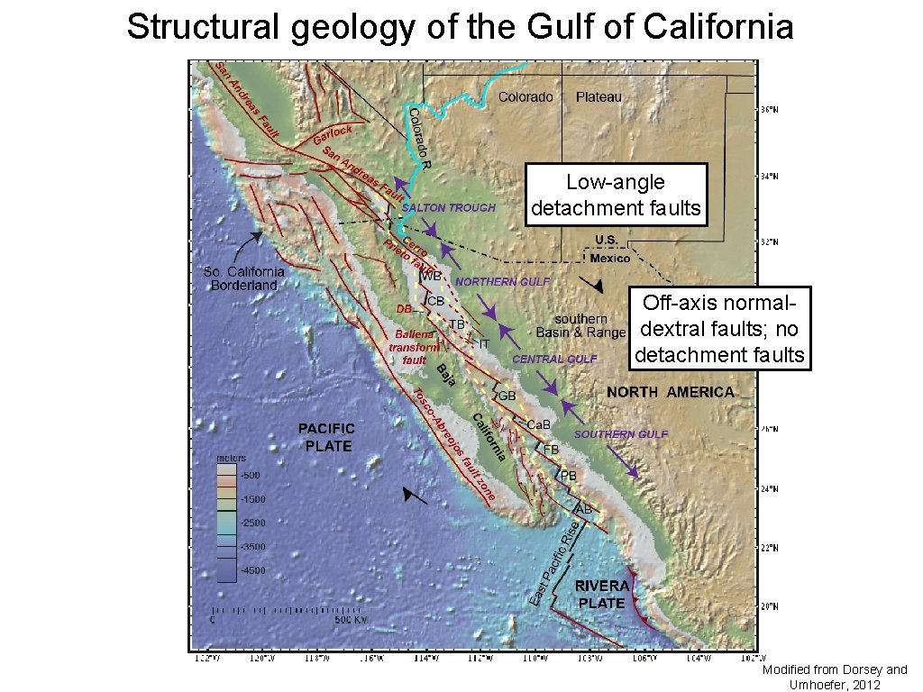 Structural geology of the Gulf of California Low-angle detachment faults Off-axis normaldextral faults; no