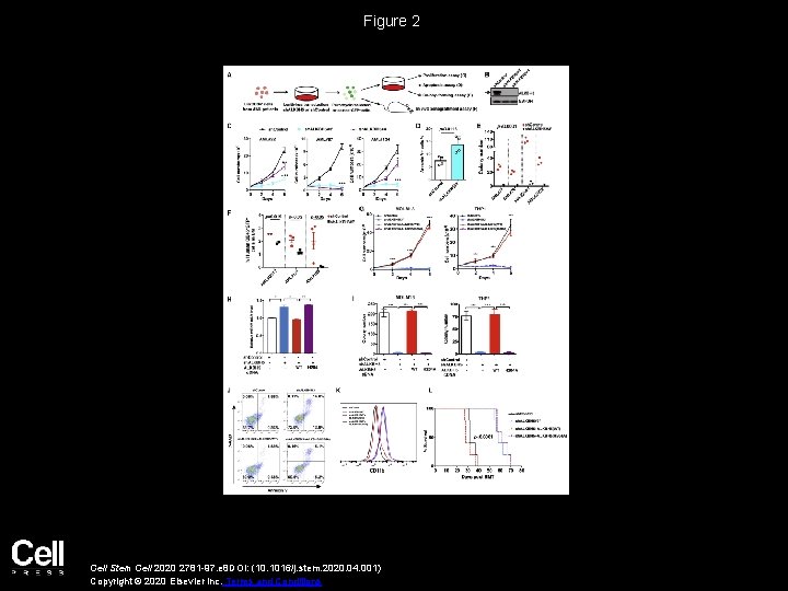 Figure 2 Cell Stem Cell 2020 2781 -97. e 8 DOI: (10. 1016/j. stem.