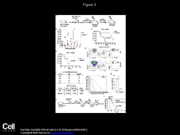 Figure 3 Cell Stem Cell 2020 2781 -97. e 8 DOI: (10. 1016/j. stem.