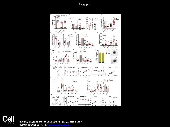 Figure 4 Cell Stem Cell 2020 2781 -97. e 8 DOI: (10. 1016/j. stem.