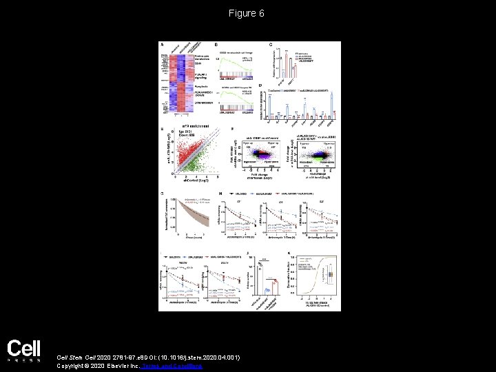 Figure 6 Cell Stem Cell 2020 2781 -97. e 8 DOI: (10. 1016/j. stem.