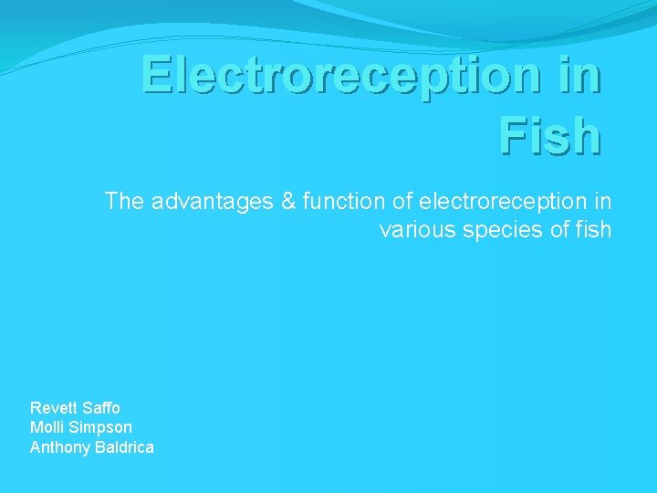 Electroreception in Fish The advantages & function of electroreception in various species of fish